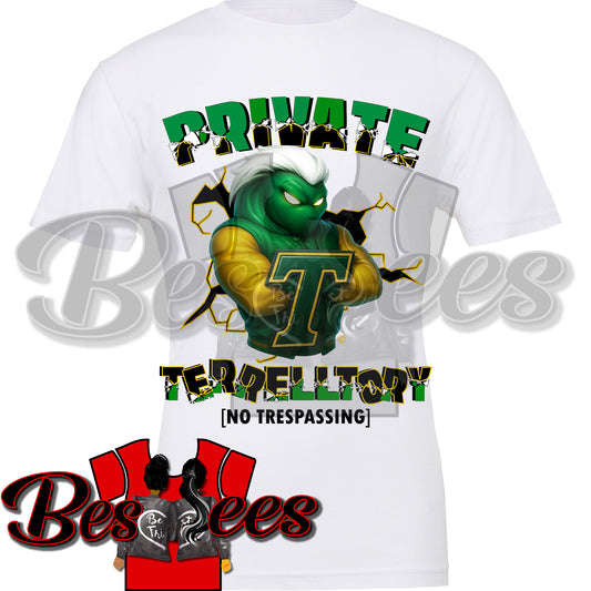 Terrell County Homecoming Shirt